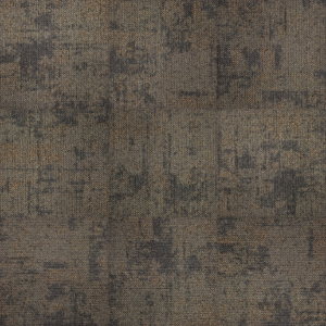 Ambience CT2403012