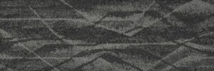 Ash CT900593
