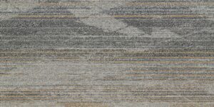 Assertive CT600469