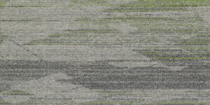 Function CT700473