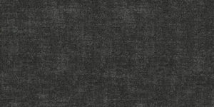 Botany CT300402