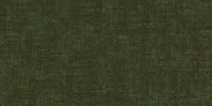 Eden CT001413