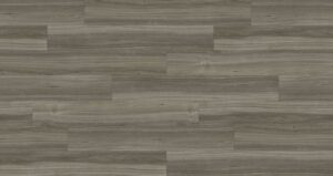 Queensland Silver Ash CP8610