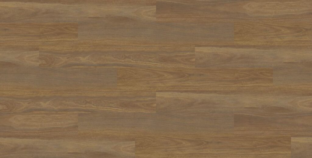 Spotted Gum #4