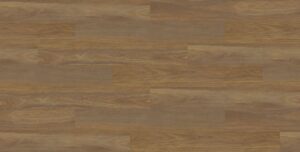 Spotted Gum #4